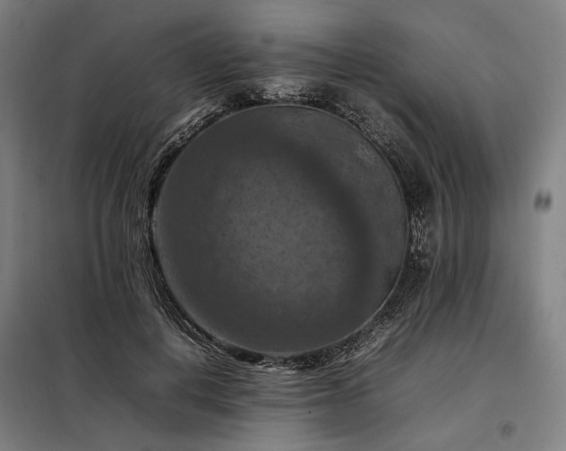 X0000098000648200804021032