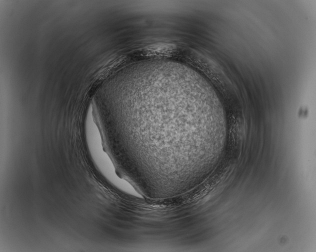 X0000098000649200804021032