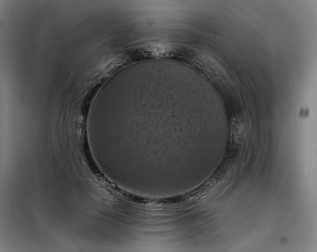 X0000098000650200804021032