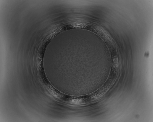 X0000098000653200804021032