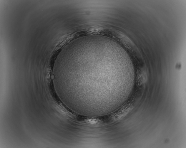 X0000098000654200804021032