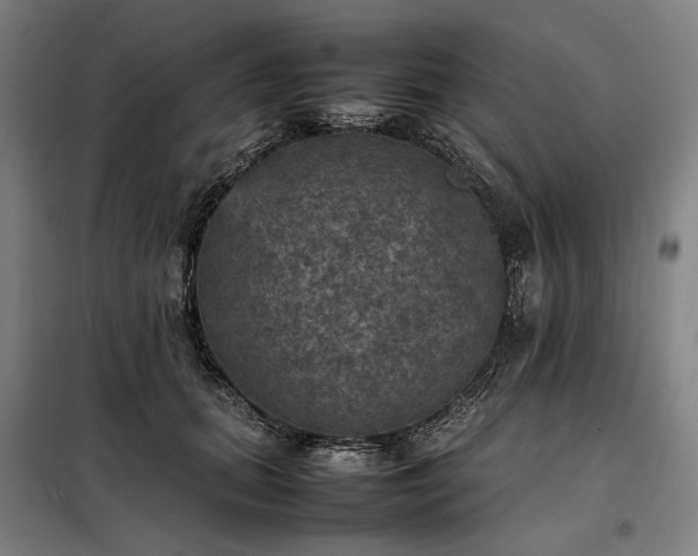 X0000098000655200804021032