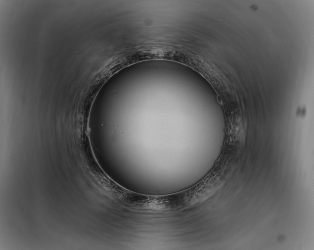 X0000098000656200804021032