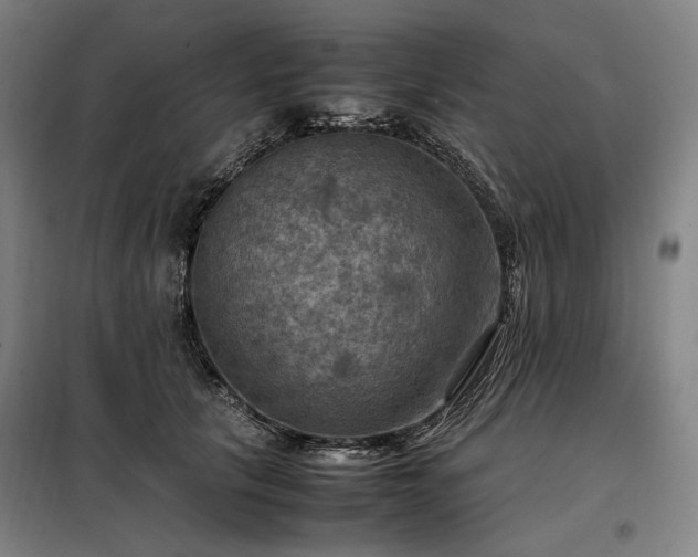 X0000098000657200804021032