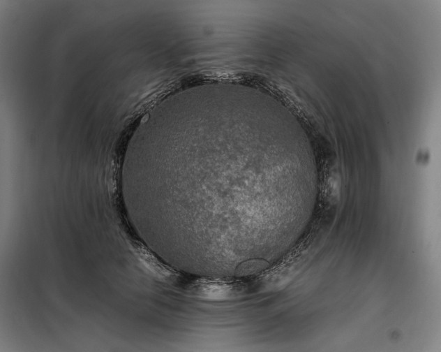 X0000098000658200804021032