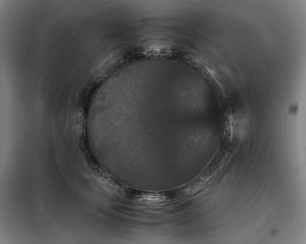 X0000098000659200804021032