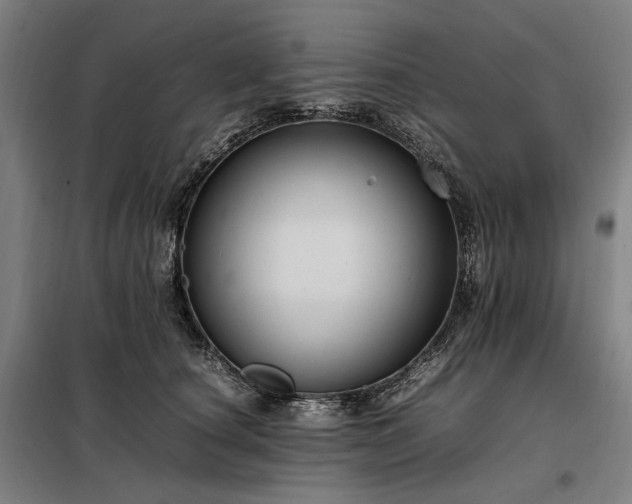 X0000098000660200804021032