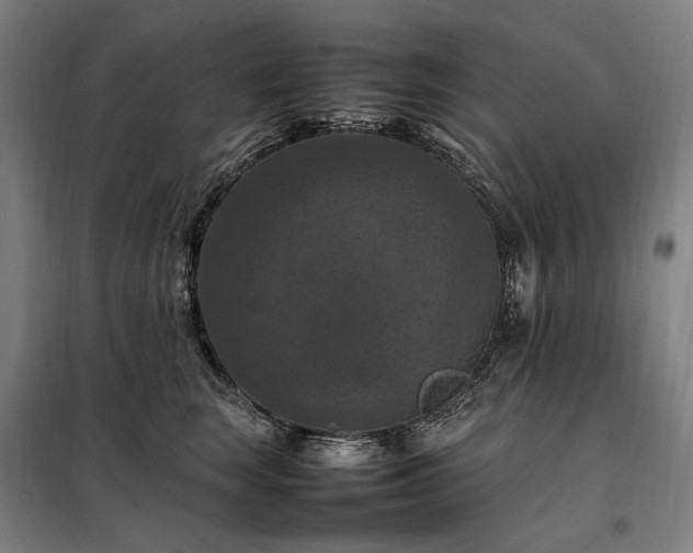 X0000098000663200804021032