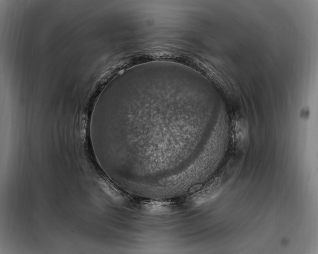 X0000098000664200804021032
