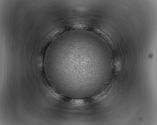 X0000098000665200804021032