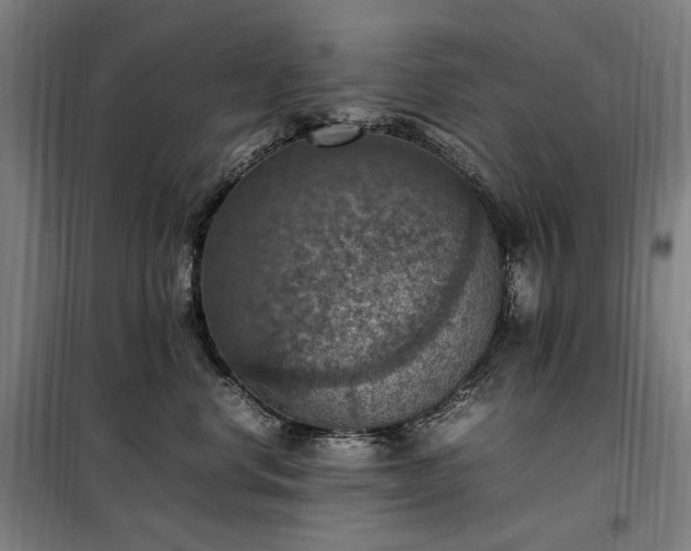 X0000098000668200804021032
