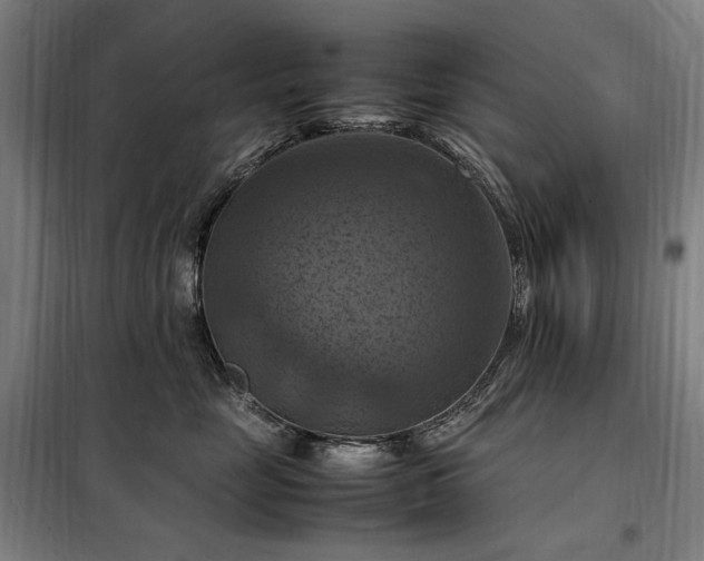X0000098000669200804021032