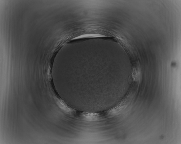 X0000098000670200804021032