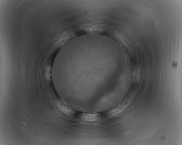 X0000098000671200804021032