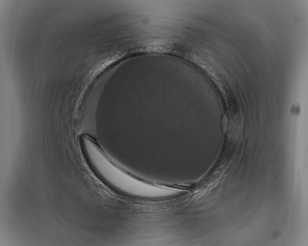 X0000098000673200804021032