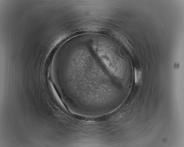 X0000098000675200804021032