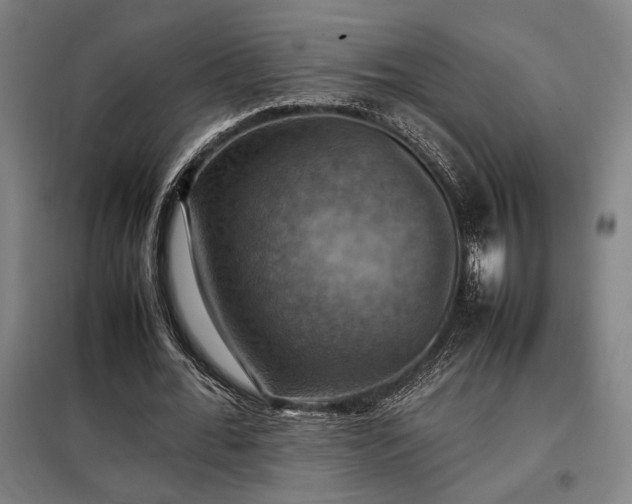 X0000098000676200804021032