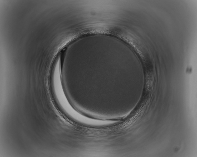 X0000098000677200804021032