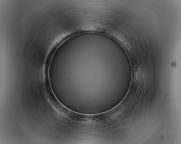 X0000098000678200804021032