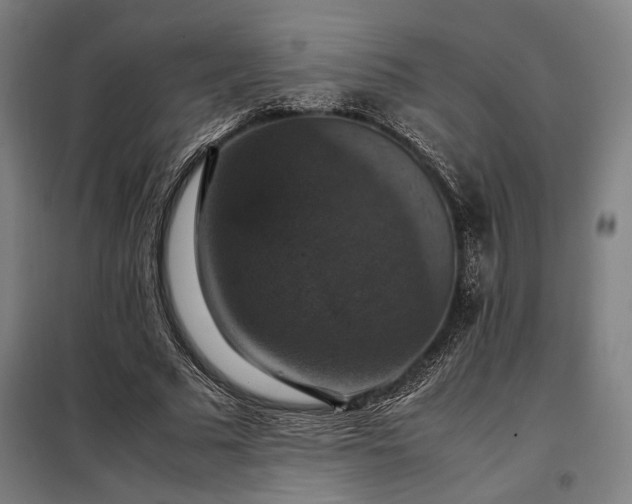 X0000098000681200804021032