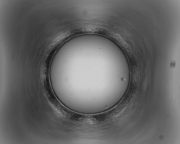 X0000098000683200804021032