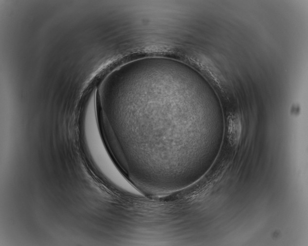 X0000098000684200804021032