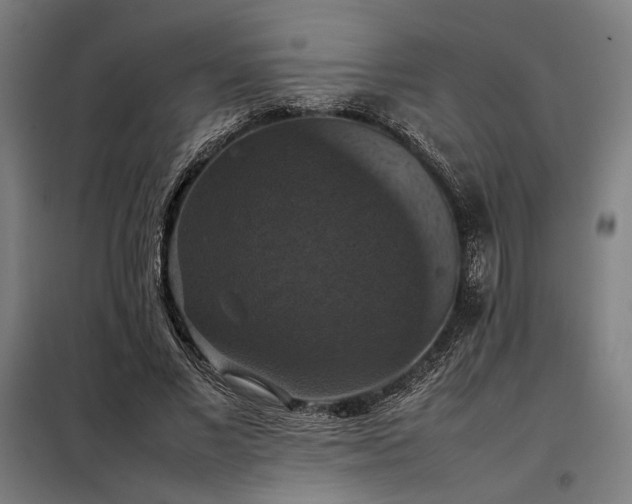 X0000098000685200804021032
