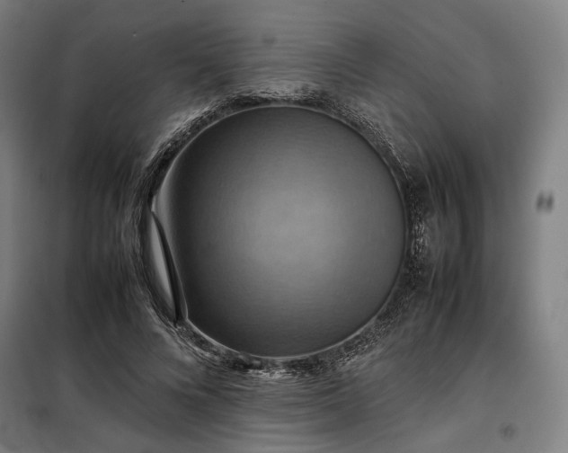 X0000098000688200804021032
