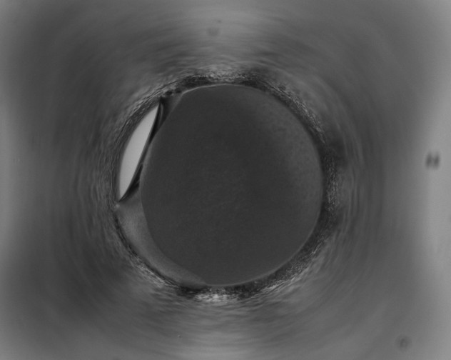 X0000098000689200804021032