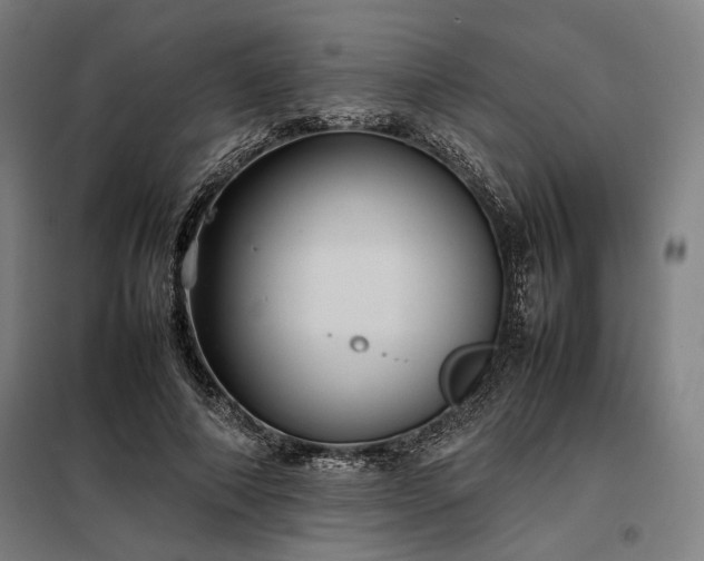 X0000098000690200804021032