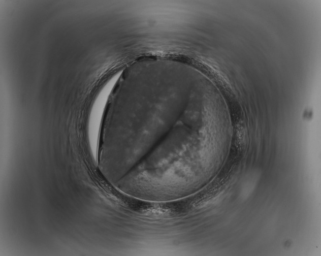 X0000098000691200804021032