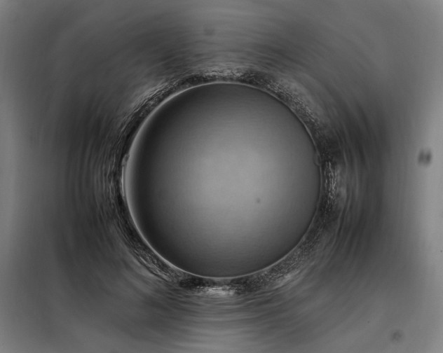 X0000098000692200804021032