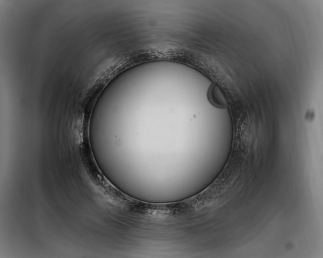 X0000098000694200804021032