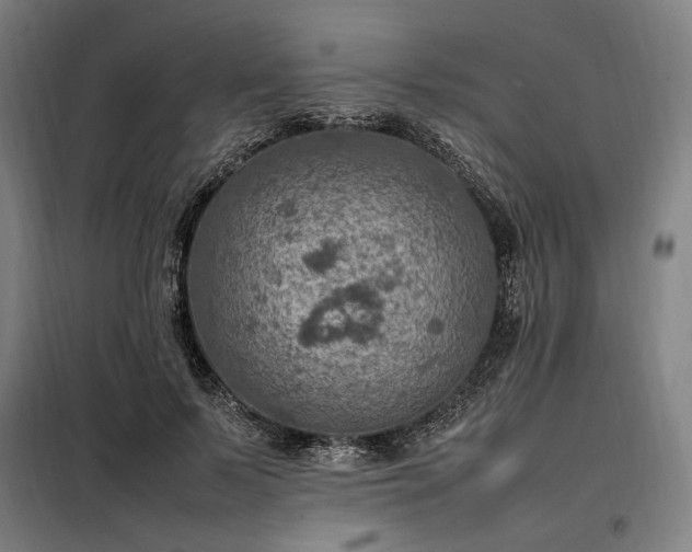 X0000098000695200804021032