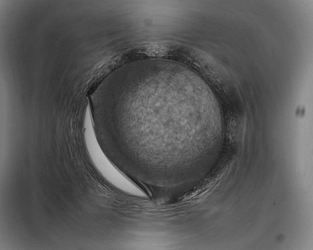 X0000098000697200804021032