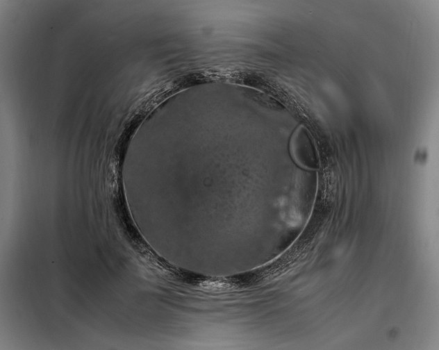 X0000098000699200804021031