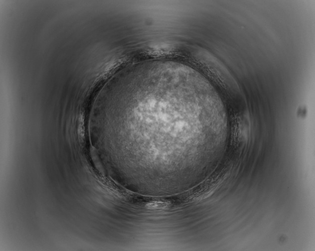 X0000098000700200804021031