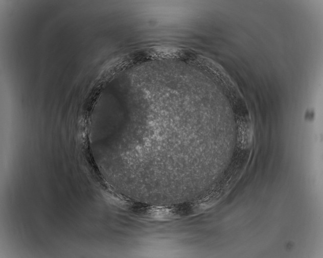 X0000098000701200804021031
