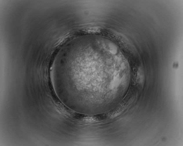 X0000098000704200804021031