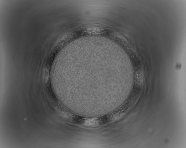 X0000098000705200804021031