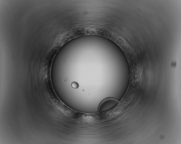 X0000098000706200804021031