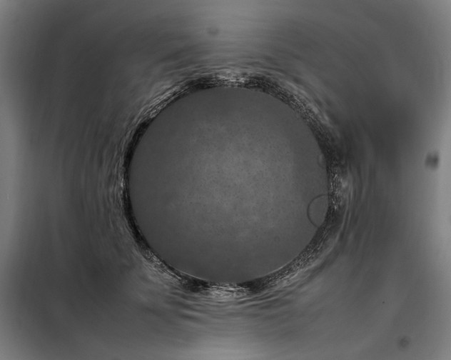 X0000098000707200804021031
