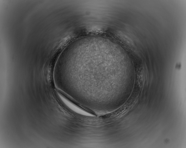 X0000098000708200804021031