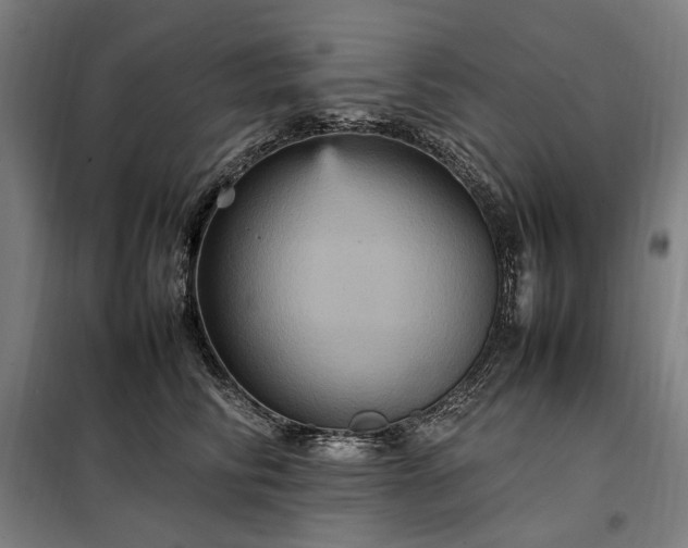 X0000098000710200804021031