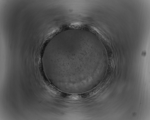 X0000098000711200804021031