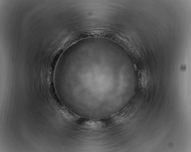 X0000098000712200804021031