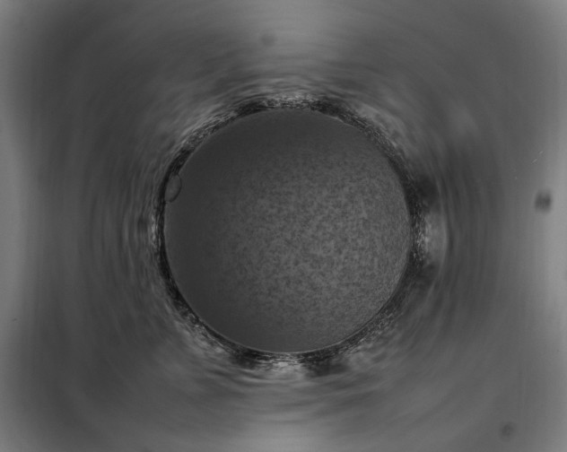 X0000098000715200804021031