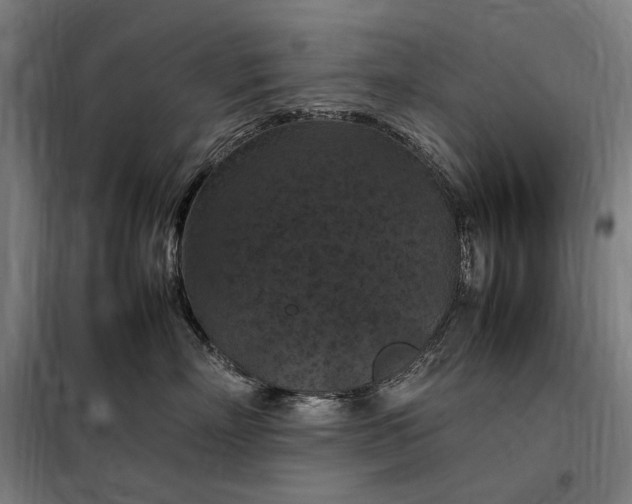 X0000098000718200804021031