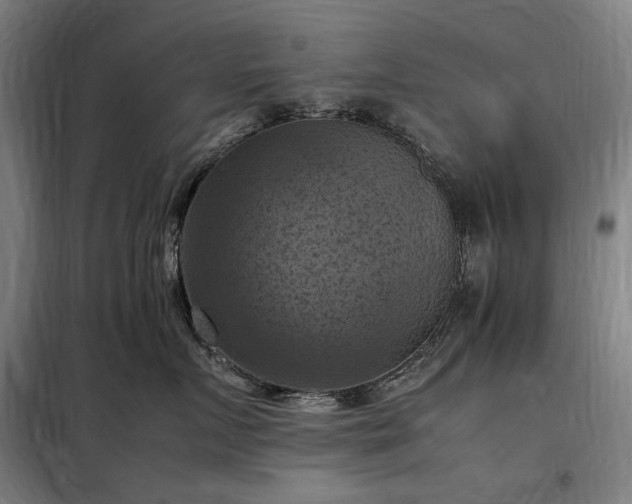 X0000098000719200804021031