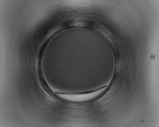 X0000098000722200804021031